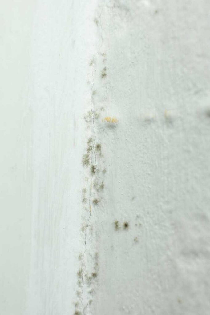 Close-up of a white wall with a vertical crack and small patches of mold or mildew.